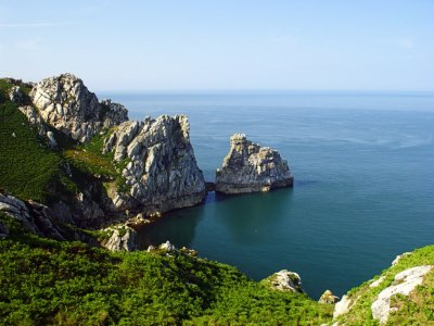 man in checked blazer